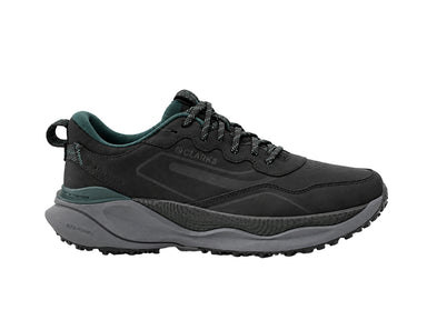 Chaplinshoes